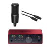 Combo Focusrite Solo AT2020