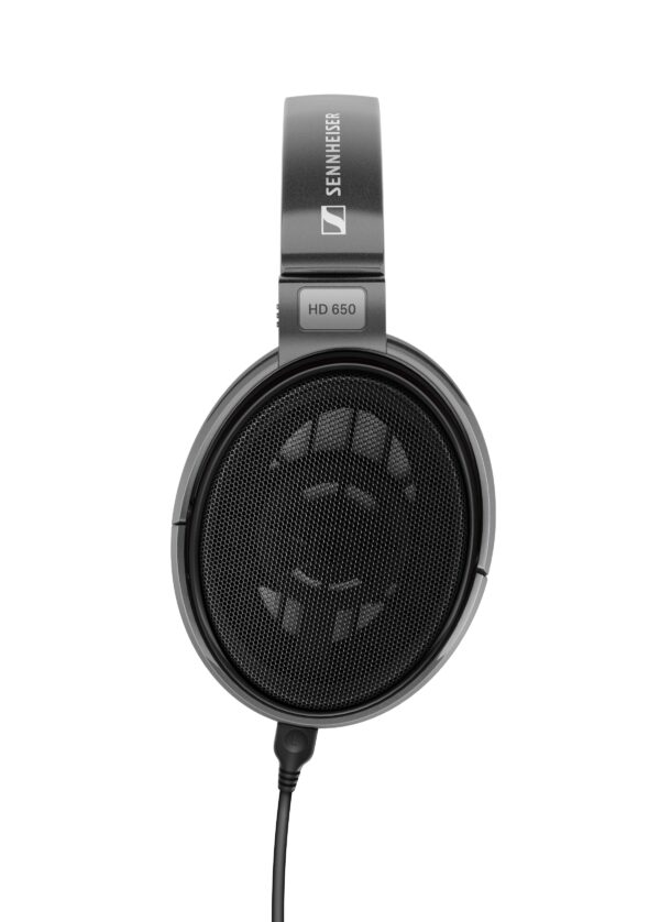 Tai Nghe Kiểm Âm Open-Back Sennheiser HD 650 - Ảnh 2